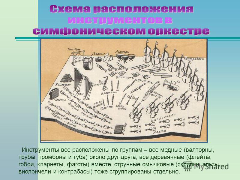 Схема расположения музыкальных инструментов в симфоническом оркестре - Фотоподбо