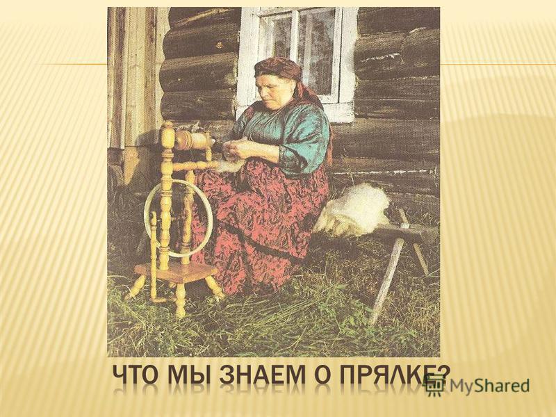 Тюльпановидный цветок Тюльпановидный цветок