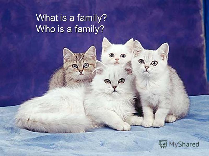 What is a family? Who is a family?