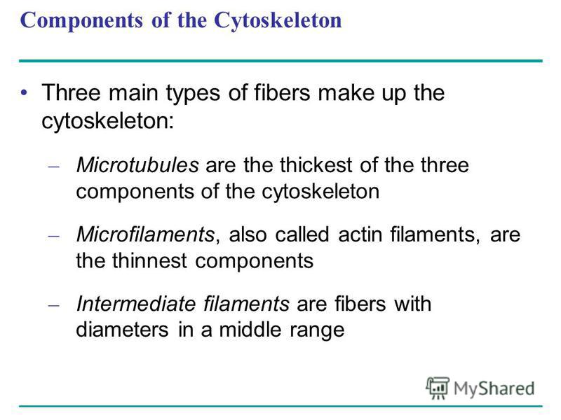 informative essay components informative essay components