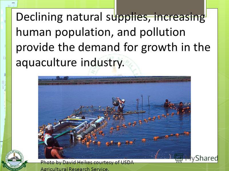 pollution and human population increases pollution and human population increases