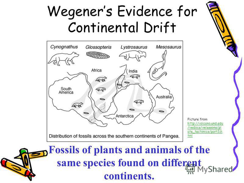 pangea puzzle worksheet answers