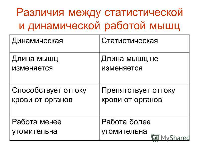 ДВИЖЕНИЕ - ЖИЗНЬ "SALEM-SHYMKENT" Новости Шымкена, спорта, культуры, образования