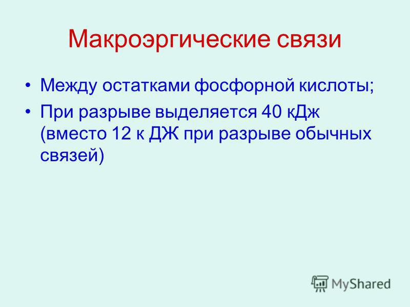 Опорный конспект по биологии "Обмен веществ (метаболизм) - основа существования