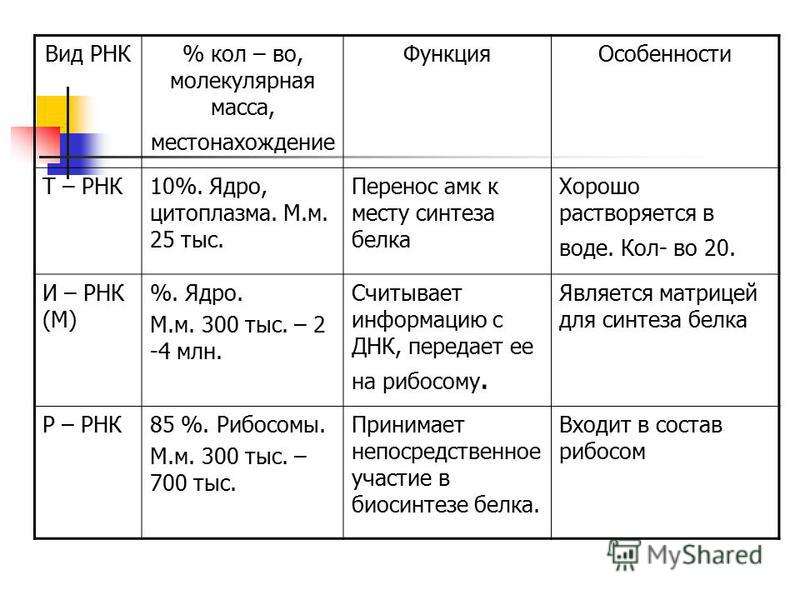 Количество генов рнк таблица Виды рнк таблица фото - OlympSchool.ru