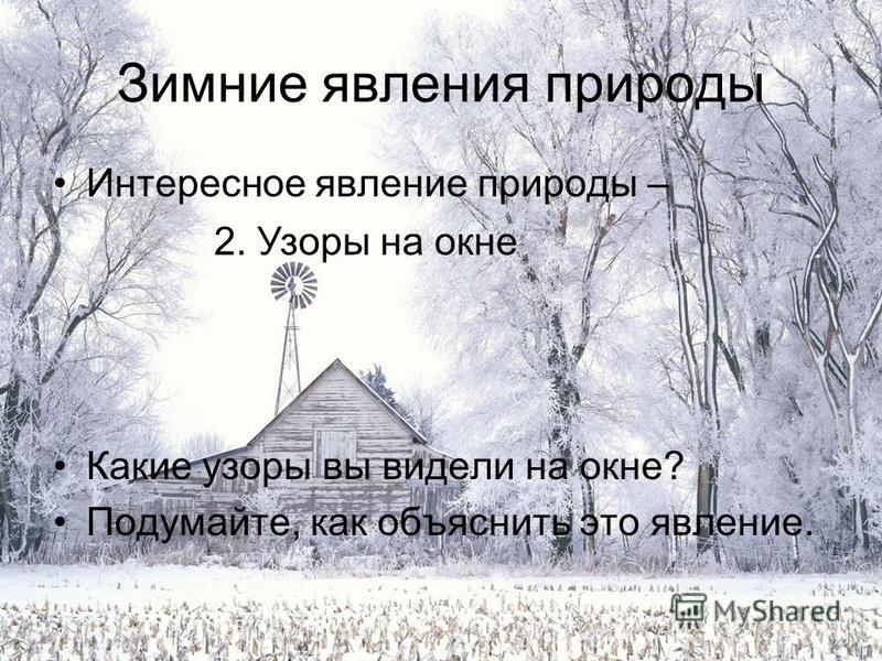 Зимние явления в живой природе картинки Зимние явления в живой природе картинки