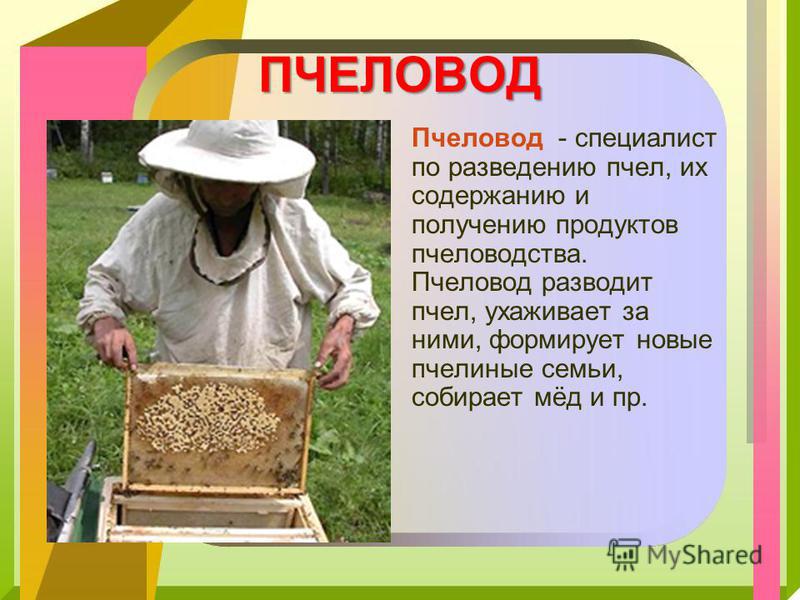 Книжка проект 2 класс про профессию пчеловод Пчеловод что делает CoffMachines.ru