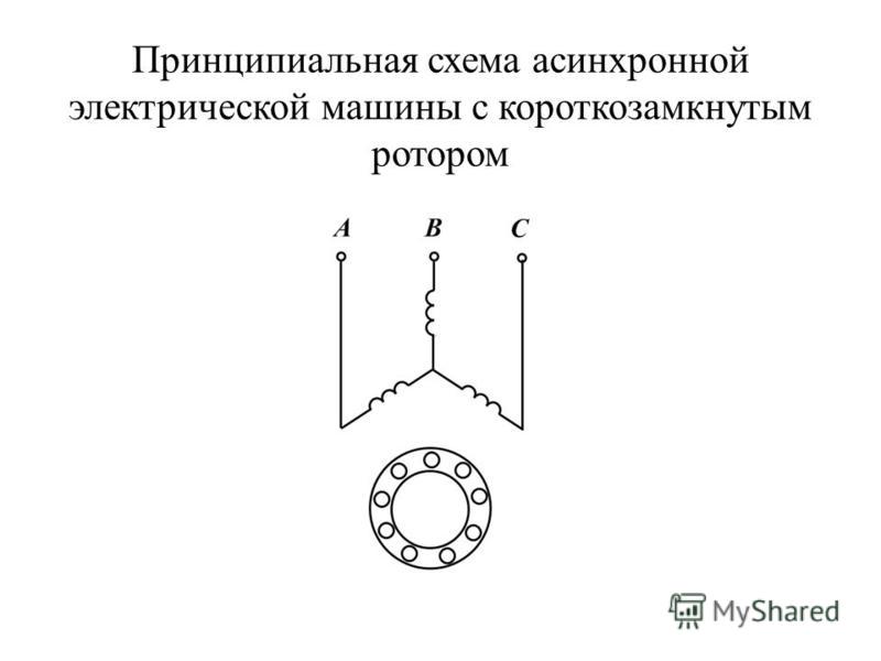 Схема асинхронной машины с короткозамкнутым ротором Схема асинхронной машины с короткозамкнутым ротором
