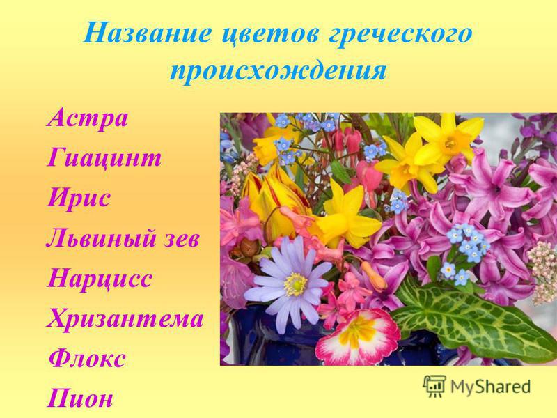 Самое лучшее поздравление с днем рождения для бабушки Самое лучшее поздравление с днем рождения для бабушки