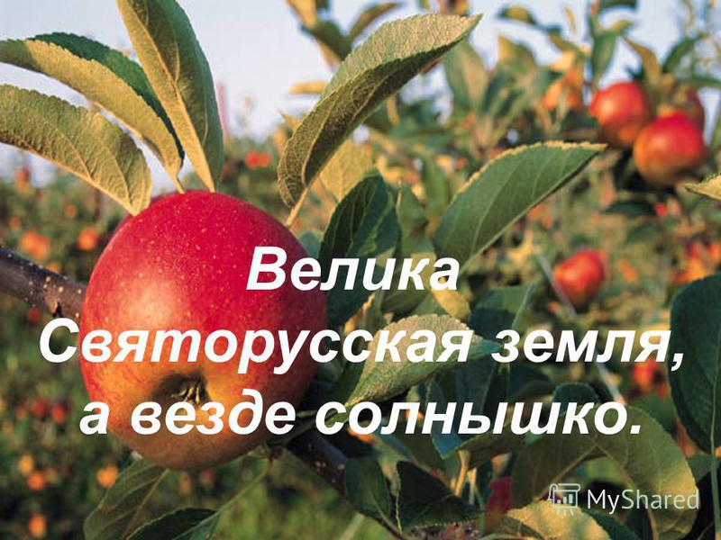 Как вы понимаете пословицу велика святорусская земля Как вы понимаете пословицу велика святорусская земля