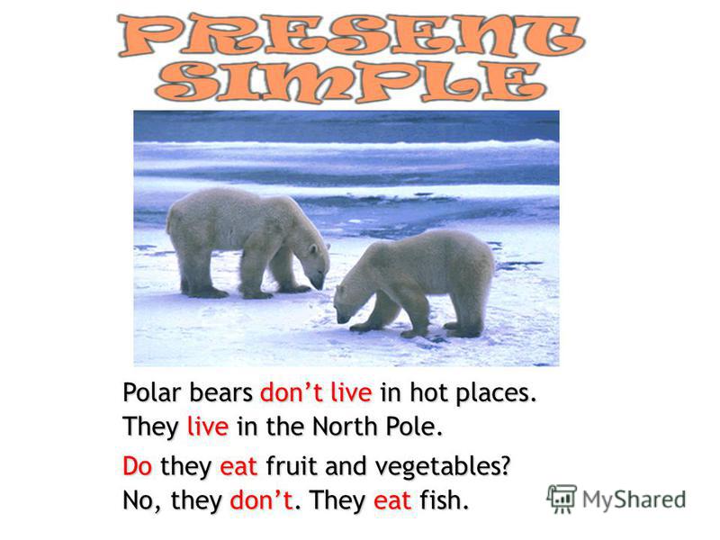 the description of the polar bears and efforts in saving them Fun facts about polar bears for kids the polar bear or the sea the black skin soaks up the sun's heat and helps them stay warm polar bears also have a. the description of the polar bears and efforts in saving them Fun facts about polar bears for kids the polar bear or the sea the black skin soaks up the sun's heat and helps them stay warm polar bears also have a.