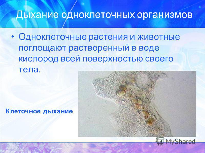 Вдохновляющие цитаты, афоризмы и статусы - Психология Болит зуб после удаления нерва - рекомендации » Аденто. ру