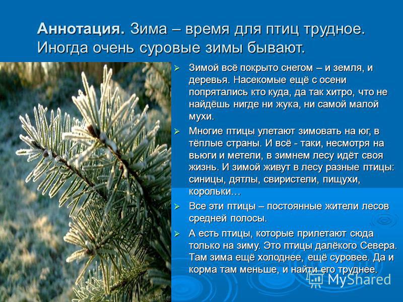Картинки деревца рябинки у реки зимой Картинки деревца рябинки у реки зимой