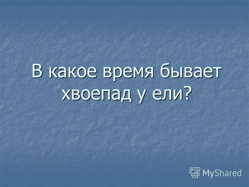 Точный прогноз погоды туринск