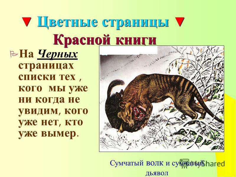 Черная Книга Животных России