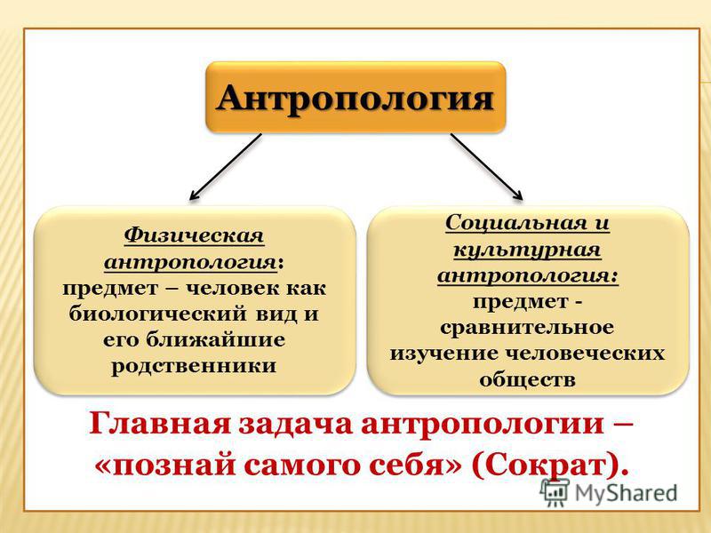 read contemporary approaches