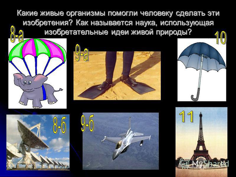 какие организмы называются паразитами какие организмы называются паразитами