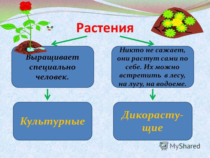 Макияж для зеленых и карих глаз Отзывы о косметике 87 Макияж для зеленых и карих глаз Отзывы о косметике 5