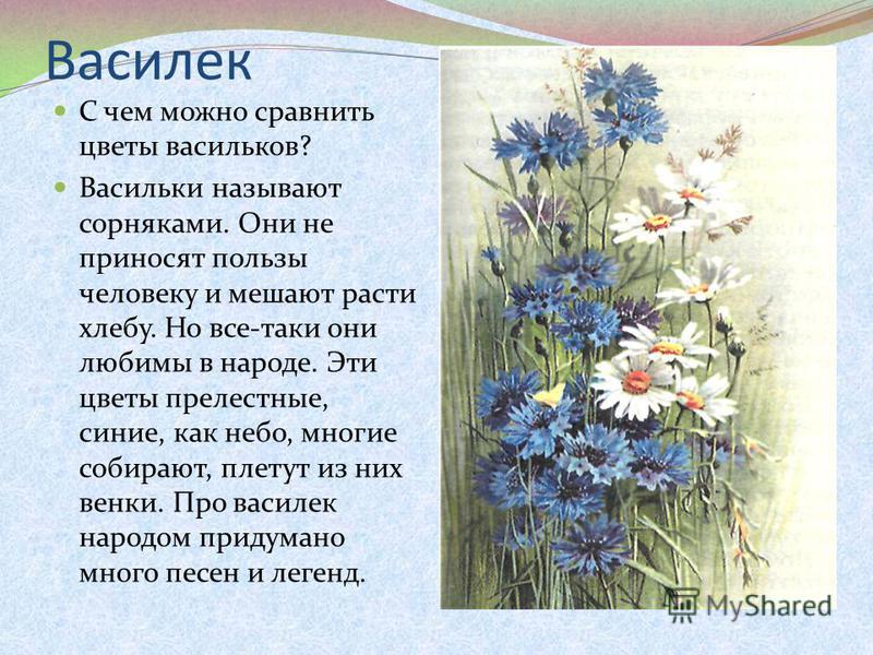 Стих про васю василька Стих про васю василька