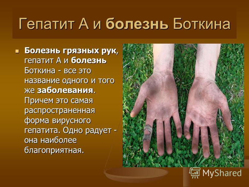 Очищение печени тыква с мёдам