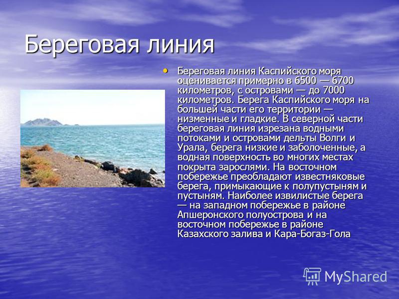 Доклад по теме Каспийское море