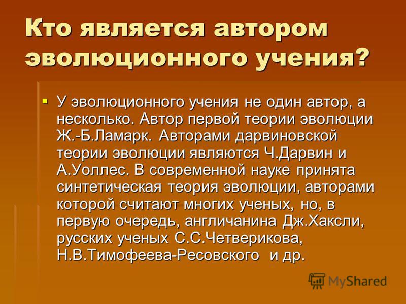 Кто является автором проекта