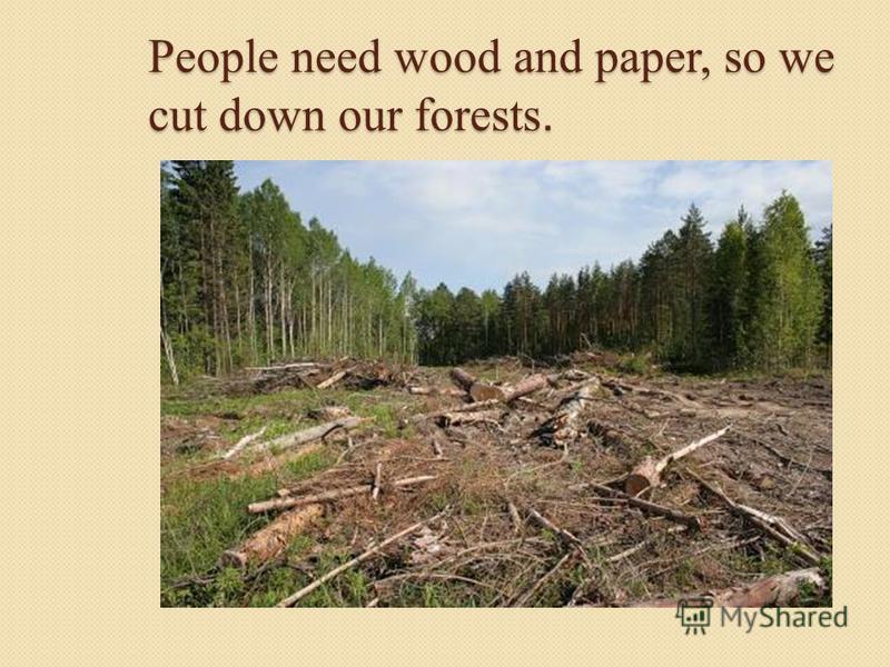 People need wood and paper, so we cut down our forests.