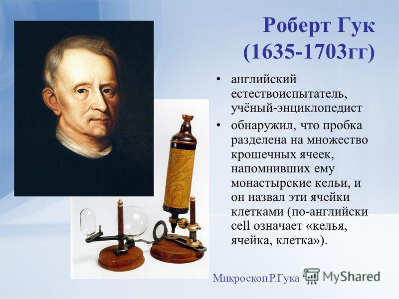 robert hooke Robert hooke was an english scientist most famous for hooke’s law of elasticity and for being the first to extensively use the microscope for scientific exploration thus discovering the building block of life, cell. robert hooke Robert hooke was an english scientist most famous for hooke’s law of elasticity and for being the first to extensively use the microscope for scientific exploration thus discovering the building block of life, cell.