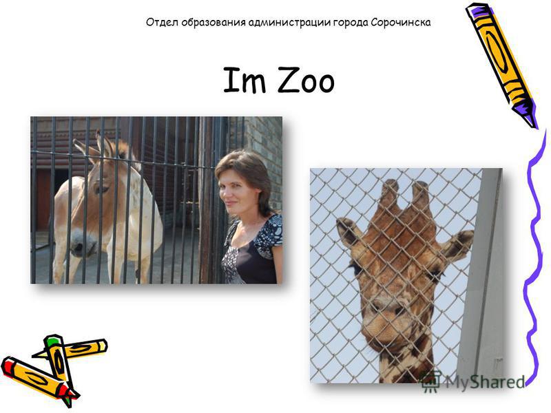 Im Zoo Отдел образования администрации города Сорочинска