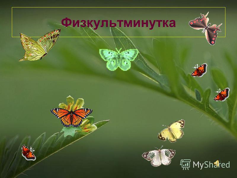 Узоры на крыльях изо 1 класс презентация Узоры на крыльях изо 1 класс презентация