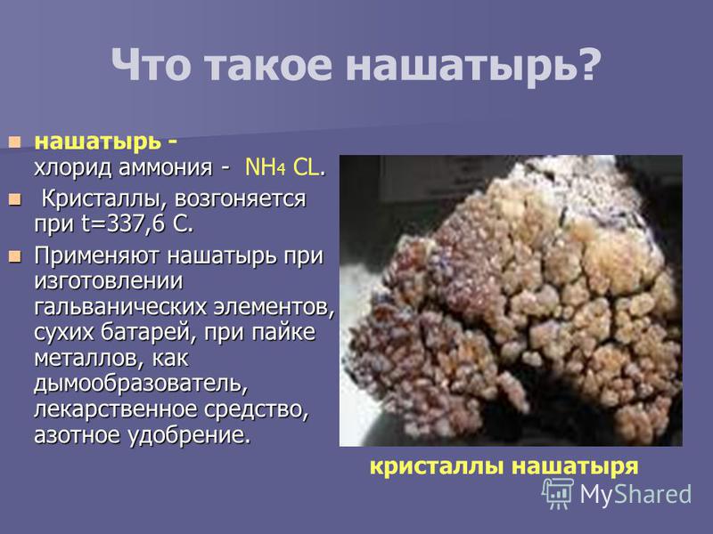 Описание земляник сорт фаворит Описание земляник сорт фаворит