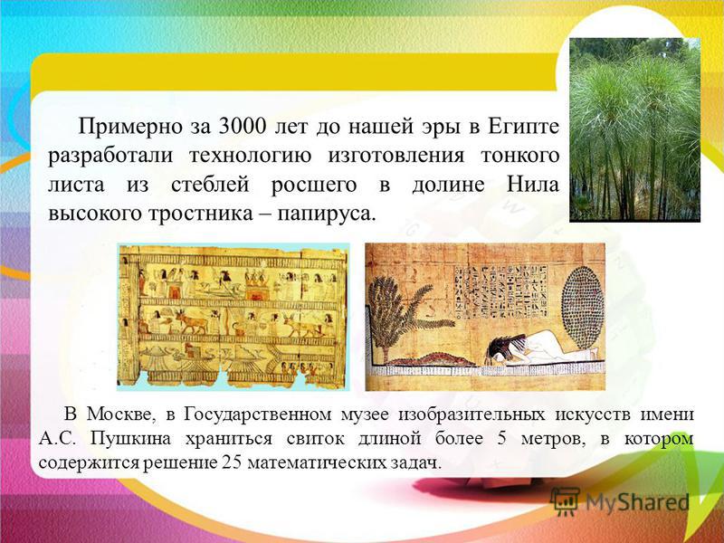 Поделка мой питомец Поделка мой питомец