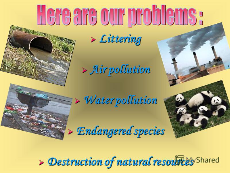 Littering Littering Air pollution Air pollution Water pollution Water pollution Endangered species Endangered species Destruction of natural resources Destruction of natural resources