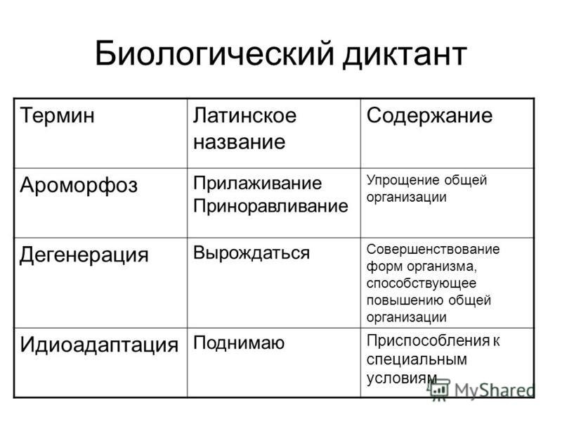 Пути достижения биологического прогресса фото Shkola-2.ru