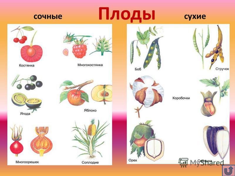 Сочная большая попа молодой девахи сзади