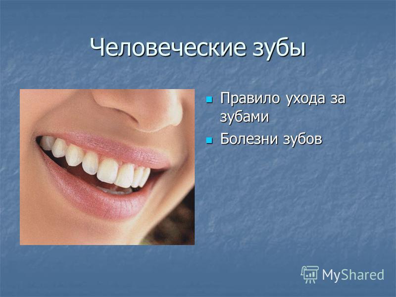 Всё о человеческих зубах Всё о человеческих зубах
