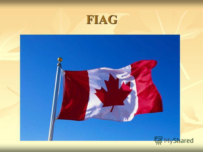 the history of the canadian national flag Here are some very interesting facts about canadian flag on feburary 15th 2015, national flag of canada turned 50 years old on february 15, 1965 our national flag was raised for the first time on parliament hill. the history of the canadian national flag Here are some very interesting facts about canadian flag on feburary 15th 2015, national flag of canada turned 50 years old on february 15, 1965 our national flag was raised for the first time on parliament hill.