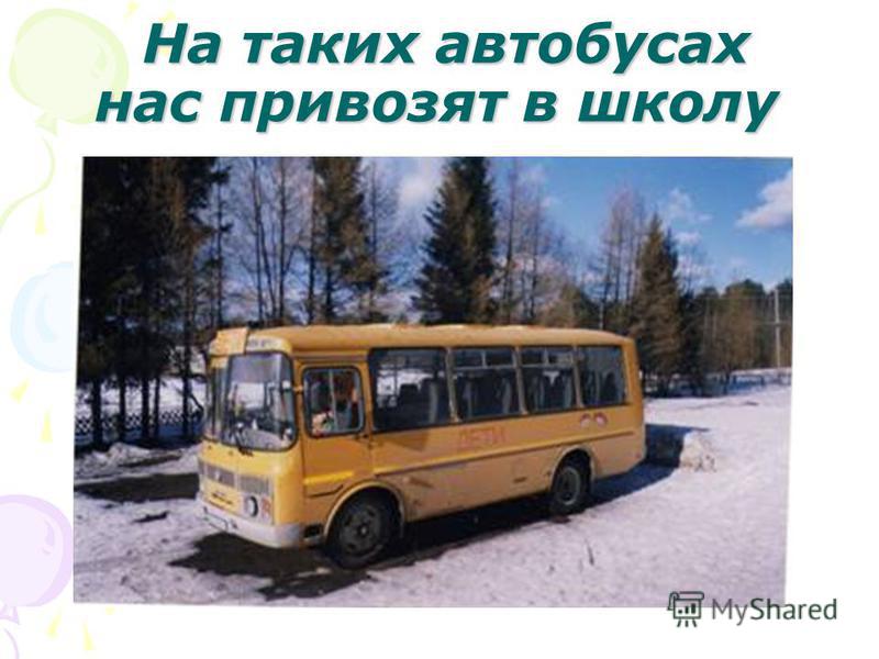 На таких автобусах нас привозят в школу На таких автобусах нас привозят в школу