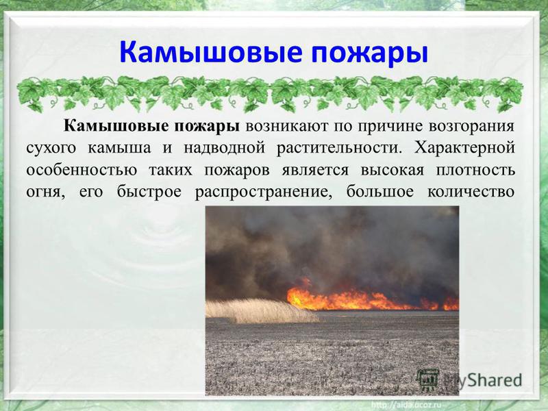 Пожары степных и хлебных массивов Пожары степных и хлебных массивов
