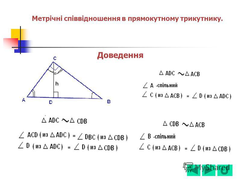 Доведення Метрічні співвідношення в прямокутному трикутнику.