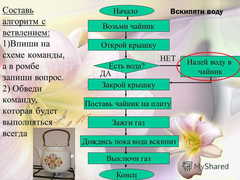 Пословицы по схеме да или нет Пословицы по схеме да или нет