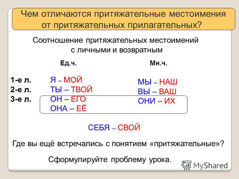 Презентация притяжательные местоимения 6 класс - Basanova.ru