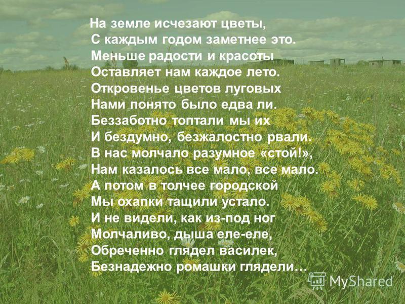 Стих на тему растение Стих на тему растение