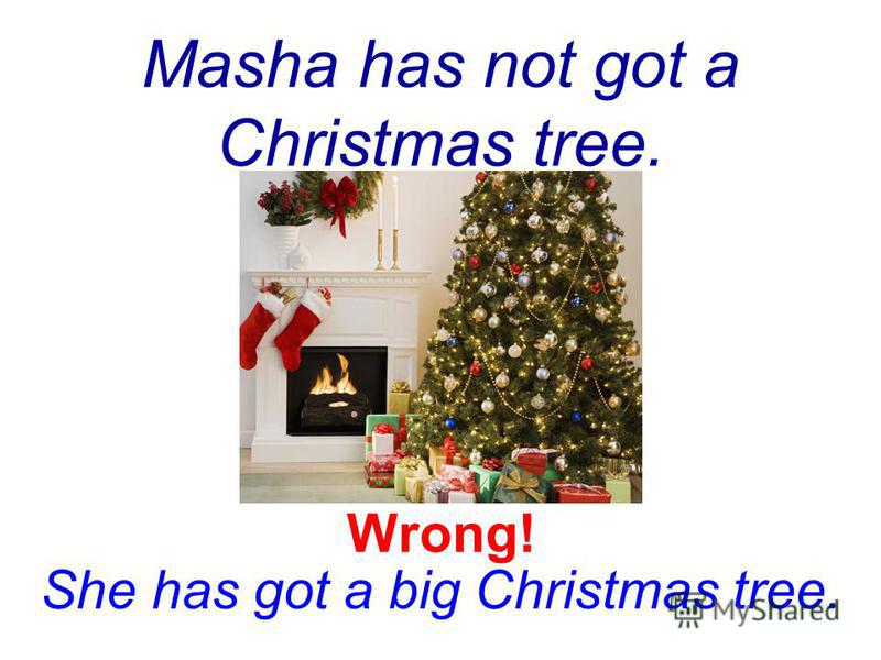 Masha has not got a Christmas tree. She has got a big Christmas tree. Wrong!