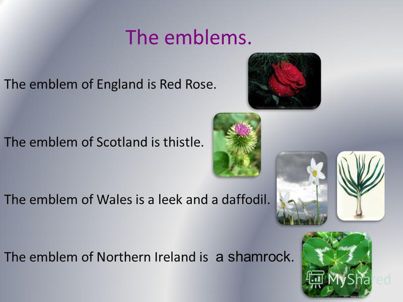 The emblems. The emblem of England is Red Rose. The emblem of Scotland is thistle. The emblem of Wales is a leek and a daffodil. The emblem of Northern Ireland is a shamrock.
