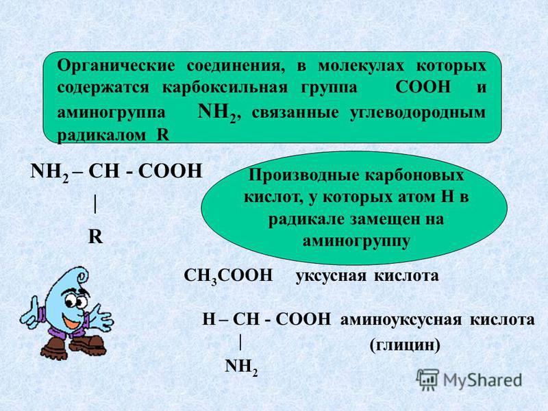 NH 2 – CH - COOH | R Органические соединения, в молекулах которых содержатся карбоксильная группа СООН и аминогруппа NH 2, связанные углеводородным радикалом R Производные карбоновых кислот, у которых атом Н в радикале замещен на аминогруппу СН 3 СОО