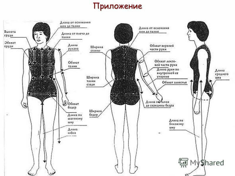 Какие есть мерки в шитье Какие есть мерки в шитье