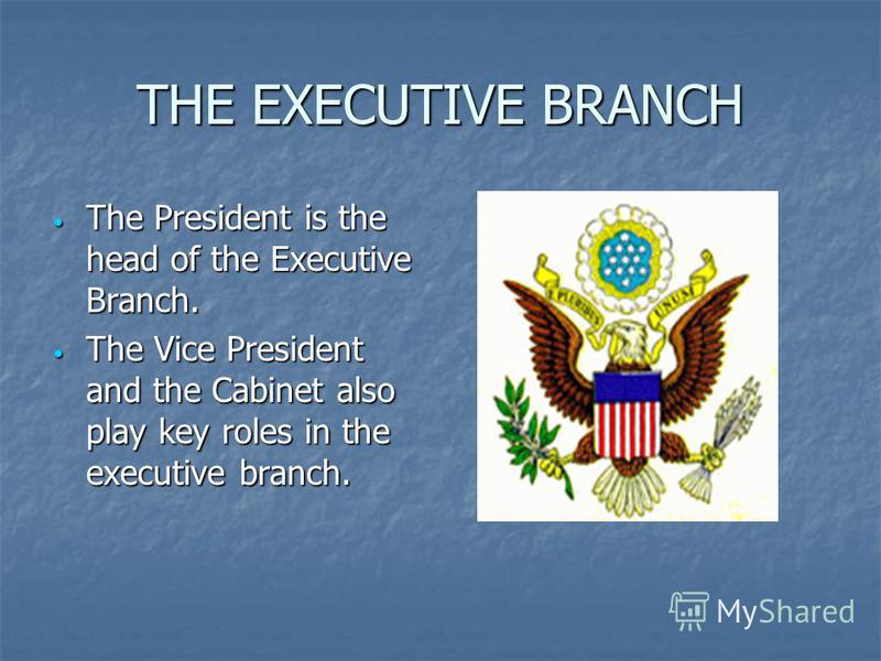 Prezentaciya Na Temu The Three Branches Of The American