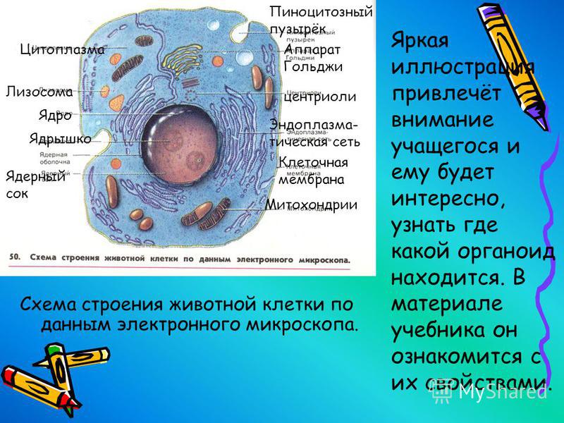 Схема датчики расхода воздуха фото 315