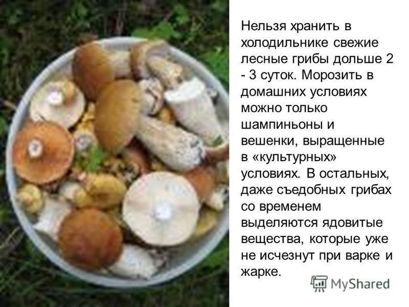 Как хранить белые грибы в домашних условиях 60